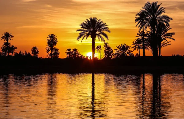 Landscapes Morocco — Stock Photo, Image