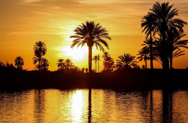 Landscapes Morocco — Stock Photo, Image