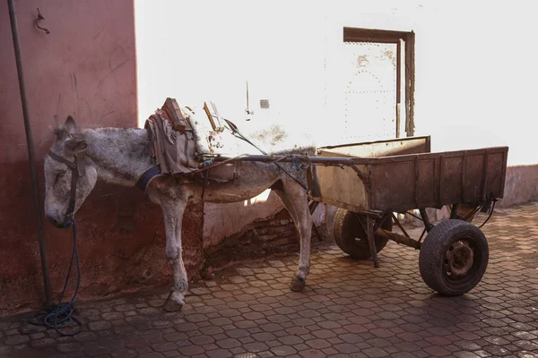 Paesaggio Del Marocco — Foto Stock