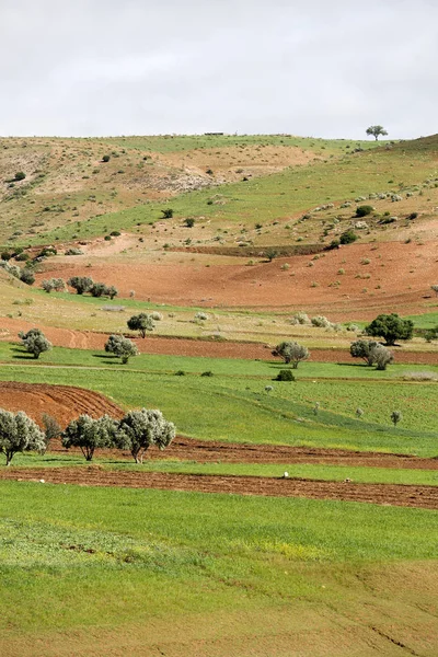 Paesaggio Del Marocco — Foto Stock