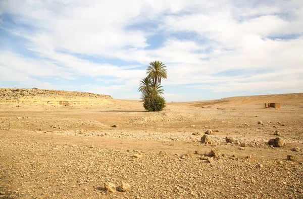 Landschap Van Marokkaanse Woestijn — Stockfoto