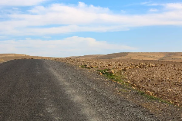 Paisagem Deserto Marroquino — Fotografia de Stock