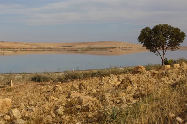 Paisagem Deserto Marroquino — Fotografia de Stock