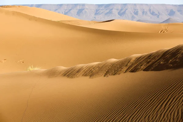 Paisagem Deserto Marroquino — Fotografia de Stock