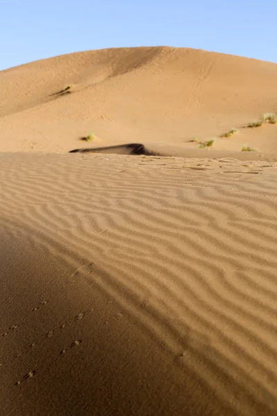 Paisagem Deserto Marroquino — Fotografia de Stock