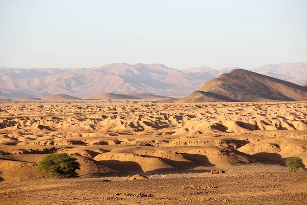 Paysage Désert Marocain — Photo