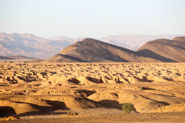 Paysage Désert Marocain — Photo