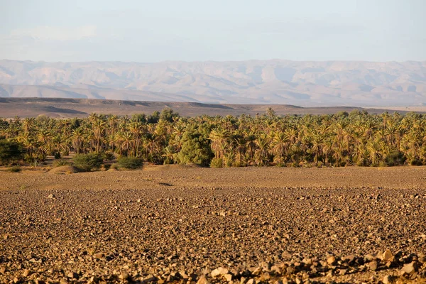 Paysage Désert Marocain — Photo