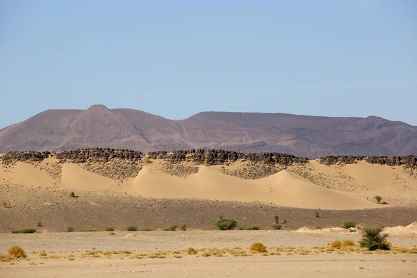 Landskap Den Marockanska Öknen — Stockfoto