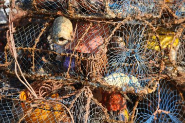 manzara Essaouira Fas