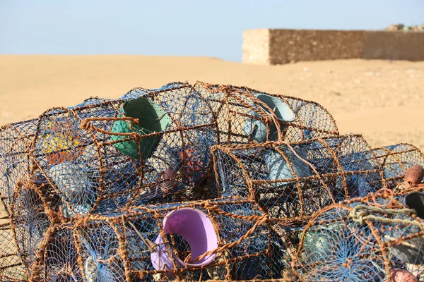 Landscape Essaouira Morocco — Stock Photo, Image
