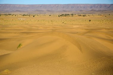 manzara Fas çöl