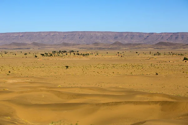 Paysage Désert Marocain — Photo