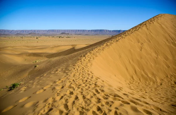 Landscape Moroccan Desert — Stock Photo, Image