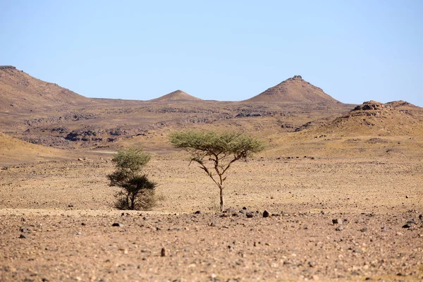 Landscape Moroccan Desert — Stock Photo, Image