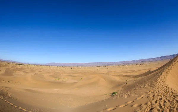 Landskap Den Marockanska Öknen — Stockfoto