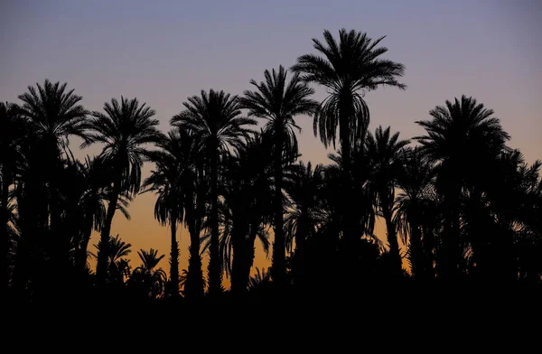 Landscape Moroccan Desert — Stock Photo, Image