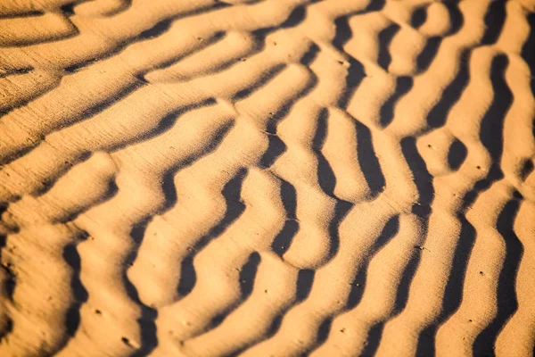 Paisagem Deserto Marroquino — Fotografia de Stock