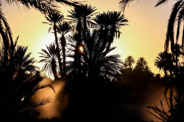 Paysage Désert Marocain — Photo