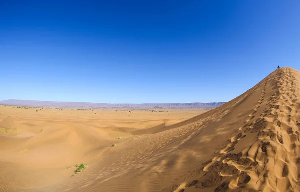 Landskap Den Marockanska Öknen — Stockfoto