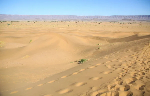 Krajobraz Marokańskiej Pustyni — Zdjęcie stockowe