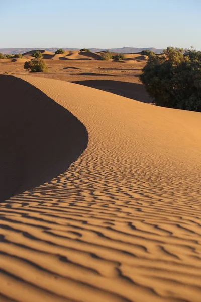 Landschap Van Marokkaanse Woestijn — Stockfoto