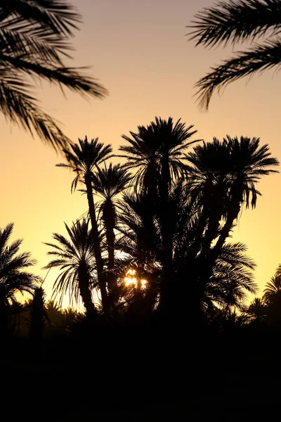 Landscape Moroccan Desert — Stock Photo, Image