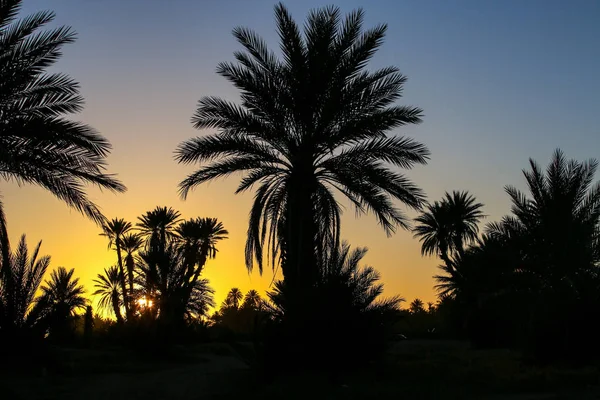 Пейзаж Марокканской Пустыни — стоковое фото