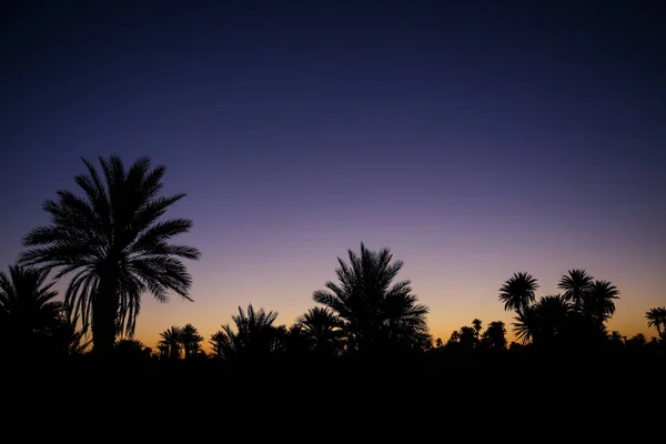 Landscape Moroccan Desert — Stock Photo, Image