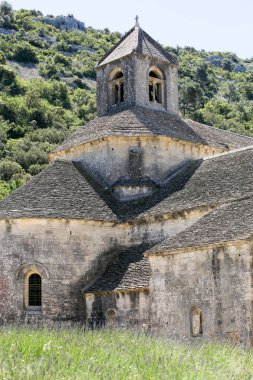 Provence lavanta manzara