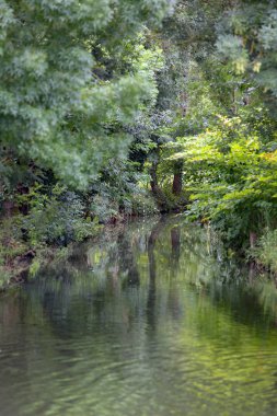 manzara Normandiya kıyılarında