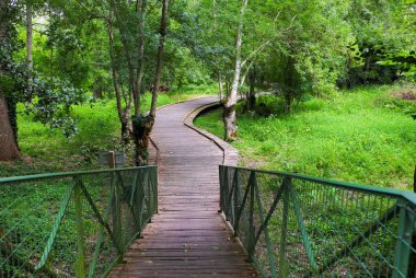 Poitevin bataklığının manzaraları