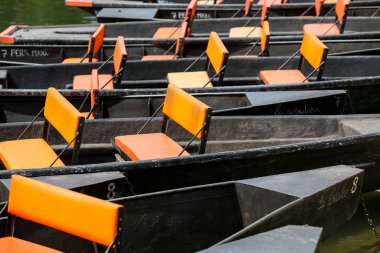 Poitevin bataklığının manzaraları