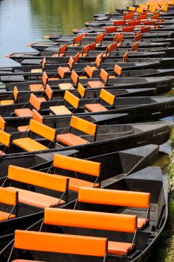 Poitevin bataklığının manzaraları