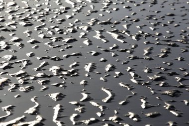 manzara Normandiya kıyılarında