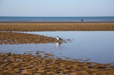 manzara Normandiya kıyılarında