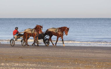 manzara Normandiya kıyılarında