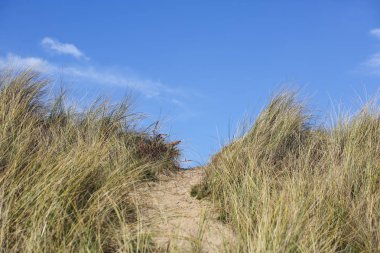 manzara Normandiya kıyılarında