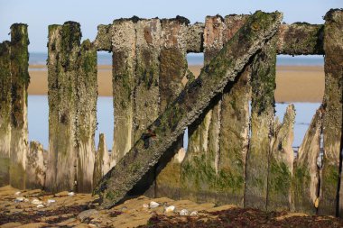 manzara Normandiya kıyılarında