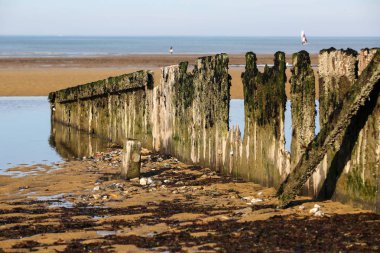 manzara Normandiya kıyılarında
