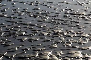 manzara Normandiya kıyılarında