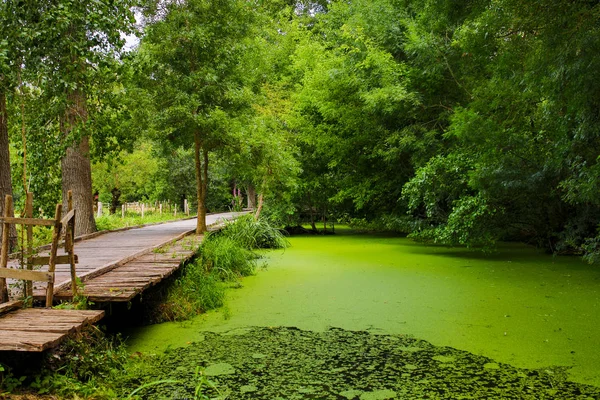 Paisagens Pântano Poitevin — Fotografia de Stock