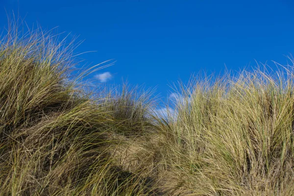ノルマンディーの海岸の風景 — ストック写真