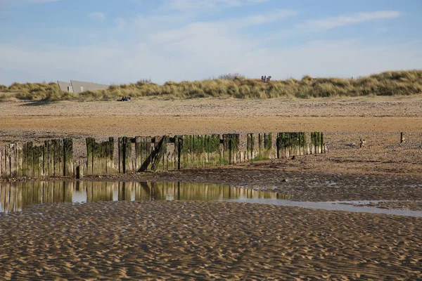 Landskap Normandies Kust — Stockfoto