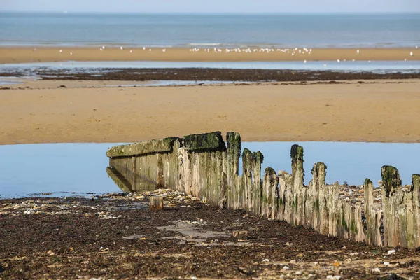 Ландшафтів Узбережжя Нормандії — стокове фото