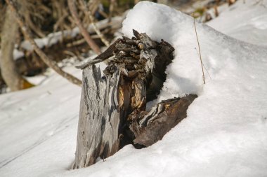 Kış manzaraları Fransız Alps 