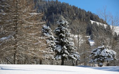 Kış manzaraları Fransız Alps 