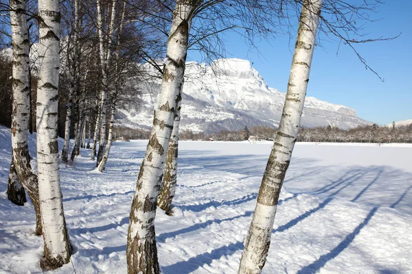 Зимние Пейзажи Французских Альп — стоковое фото