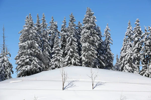 Ranskan Alppien Talvimaisemat — kuvapankkivalokuva