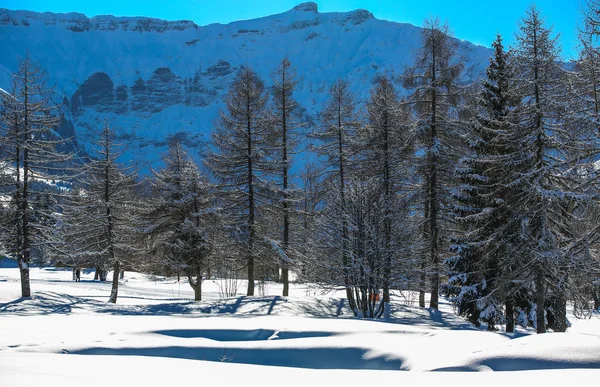 Paysages Hivernaux Des Alpes Françaises — Photo